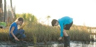 Kids Construction Living Shoreline