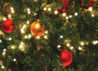 Christmas Tree Lights