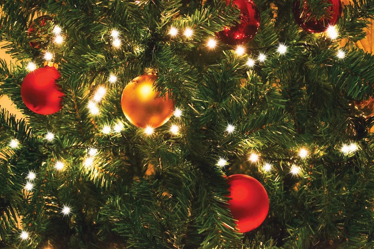 Christmas Tree Lights