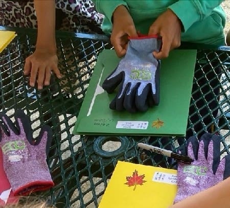 Junior Gardeners 1