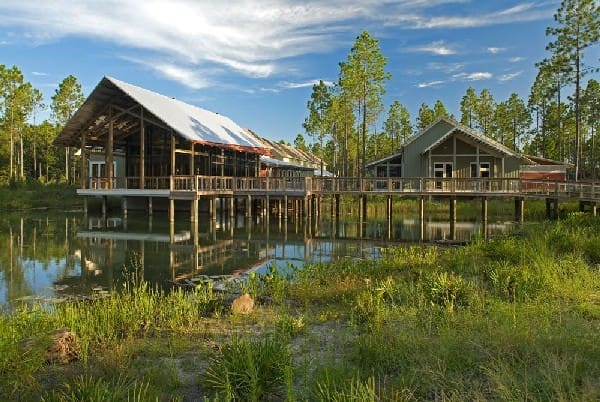 1000 Eo Wilson Biophelia Center