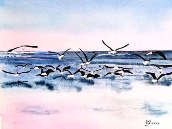 Ann Frederick Gulls On Beach