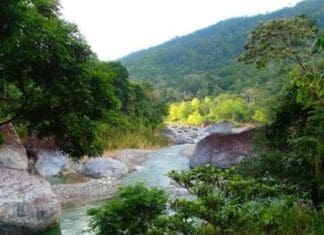 Rio Cangrejal2