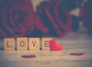 Love Rose
