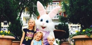 Baytowne Bunny