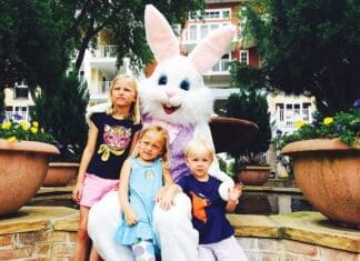 Baytowne Bunny