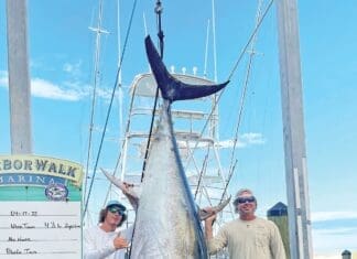 Big Tuna 1