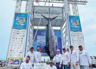 Cali Fishecbc
