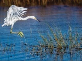 Screenshot 2022 08 01 At 12.11.12 Pm[8] Copy