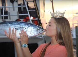 Rodeo Kissy Fish Best