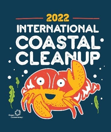 Cleanup 2022