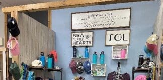 Sea Turtle Hearts