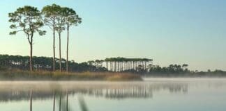 Scenic Walton Lake