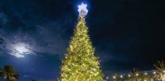 Coastal White Christmas 2