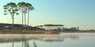 Scenic Walton Nov 2022