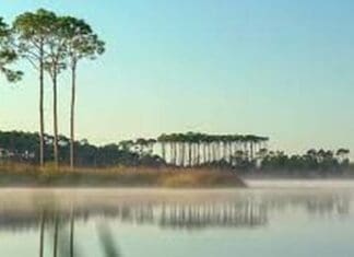 Scenic Walton Nov 2022