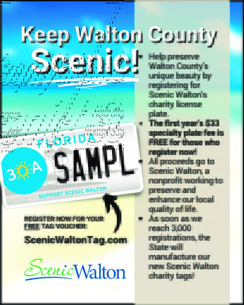 Scenic Walton Charity Tag Ad V Nov 2022 B (4 × 5 In)