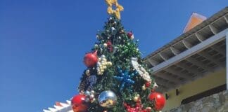 Travel Christmas Tree Roatan D And J