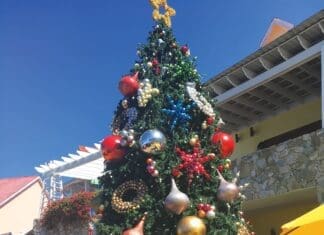Travel Christmas Tree Roatan D And J