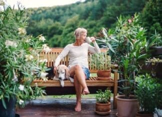 Coffee and Dogs
