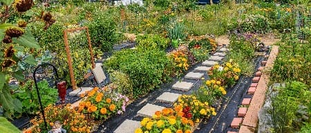 Feature Cultivating Community Gardens