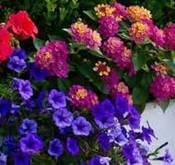 Spring Floral Design