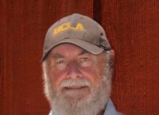 Donald Shoup Headshot