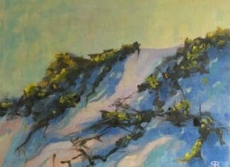 Gulf Beach Dunes In Fall By Bloyd