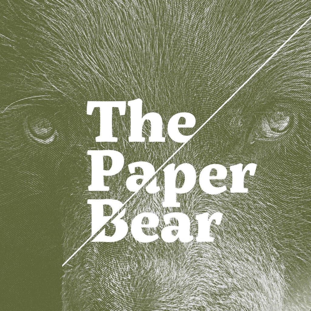 The Paper Bear Logo
