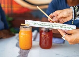 Theo Bamboo Straws
