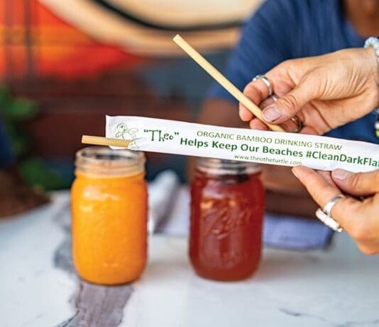 Theo Bamboo Straws
