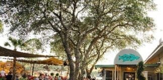 Old Florida Fish House 3