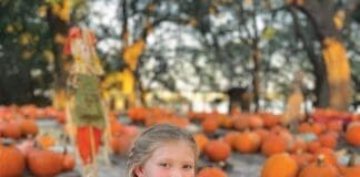 Camp Helen Pumpkins