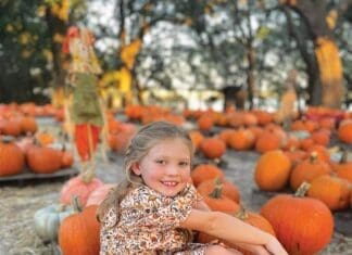 Camp Helen Pumpkins