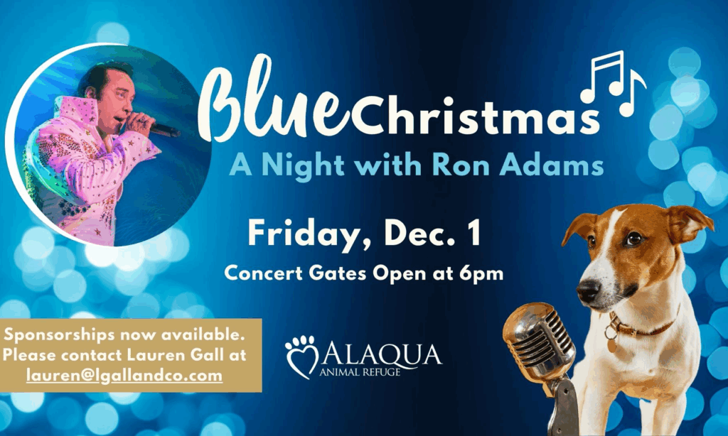 Alaqua Blue Christmas