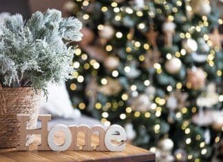 Christmas Tree and Decorations