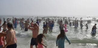 Swfd Polar Bear Plunge 2023