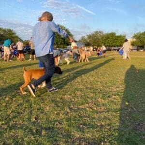 Dh Doggie Eggstravaganza