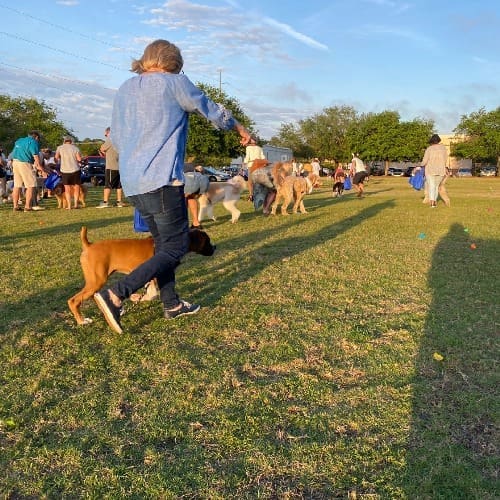Dog-Harmony Hosts the 9th Annual Doggie EGGstravaganza