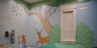 Francisco Adaro Mural In A Pediatric Exam Room At The Point Washington Medical Clinic. Photo Credit Lynn Crow Photography