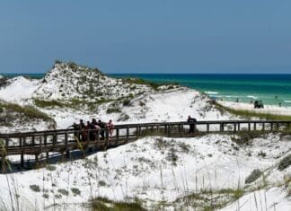 Walton County Agencies Respond to Two Shark Related Incidents June 7 Swfd Beach Shark Rescue