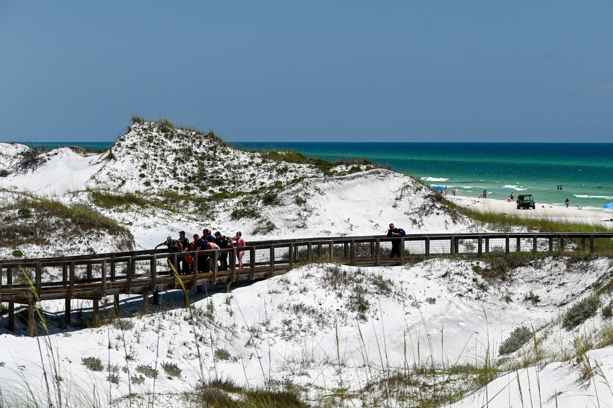 Swfd Beach Shark Rescue