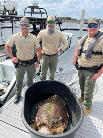 Fwc Officers And Loggerhead