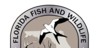 Florida Fish Logo