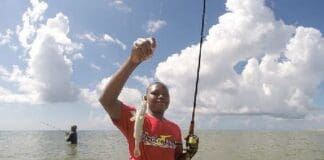 School Fishing