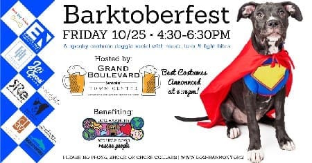 Barktoberfest Faebook Event Banner