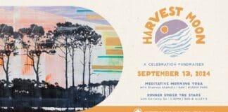 Harvest Moon