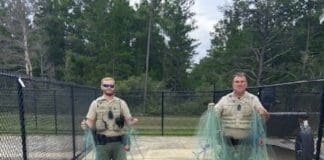 Walton County Net