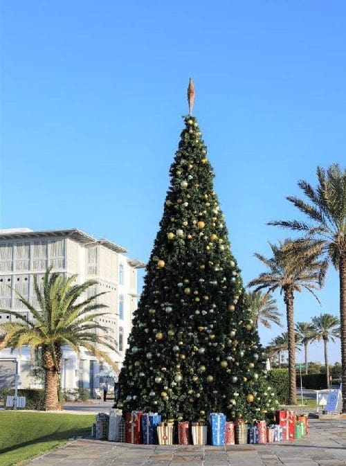 Aly Beach Christmas Tree