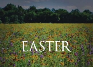 Sean Dietrich Easter Image